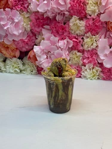Dubai Chocolate Strawberry Cup